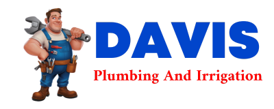 Trusted plumber in DELTA